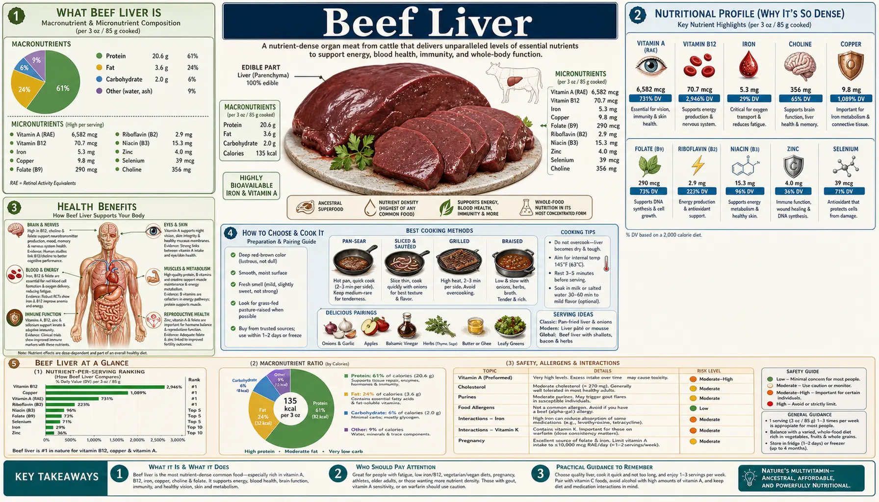 Beef Liver — scientific infographic poster