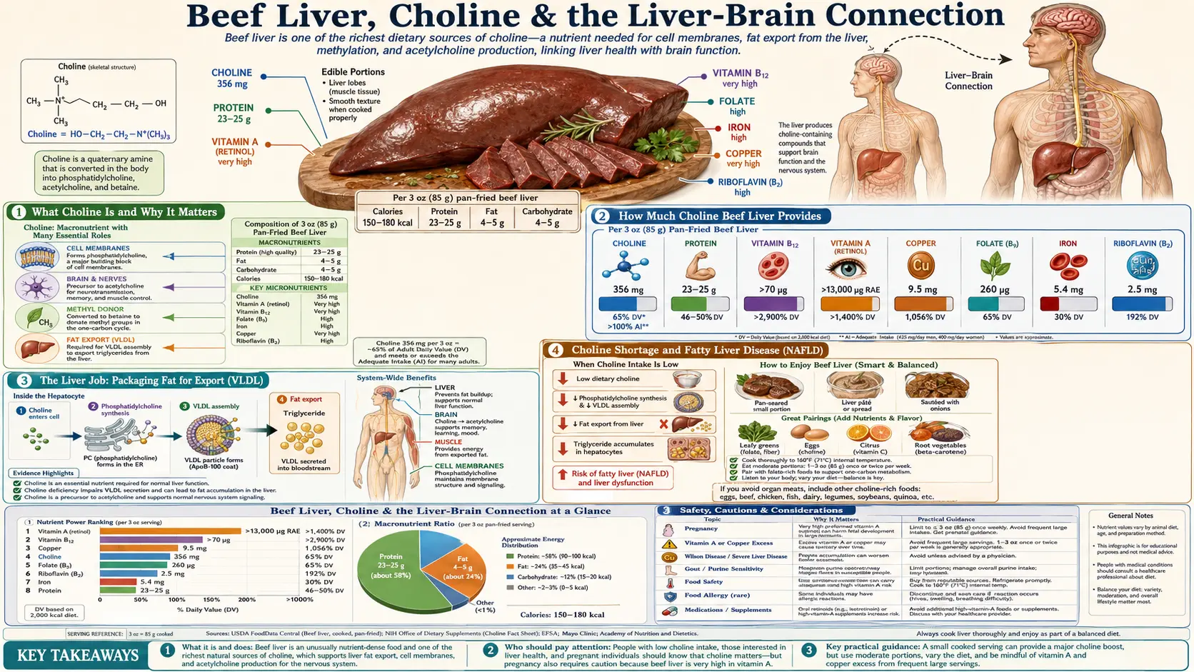 Choline for Liver and Brain — scientific infographic poster