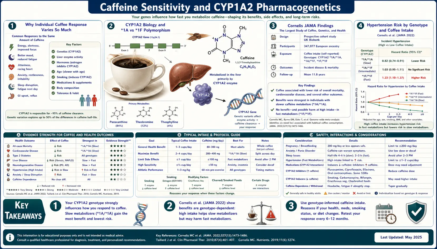 Caffeine Sensitivity and CYP1A2 — scientific infographic poster