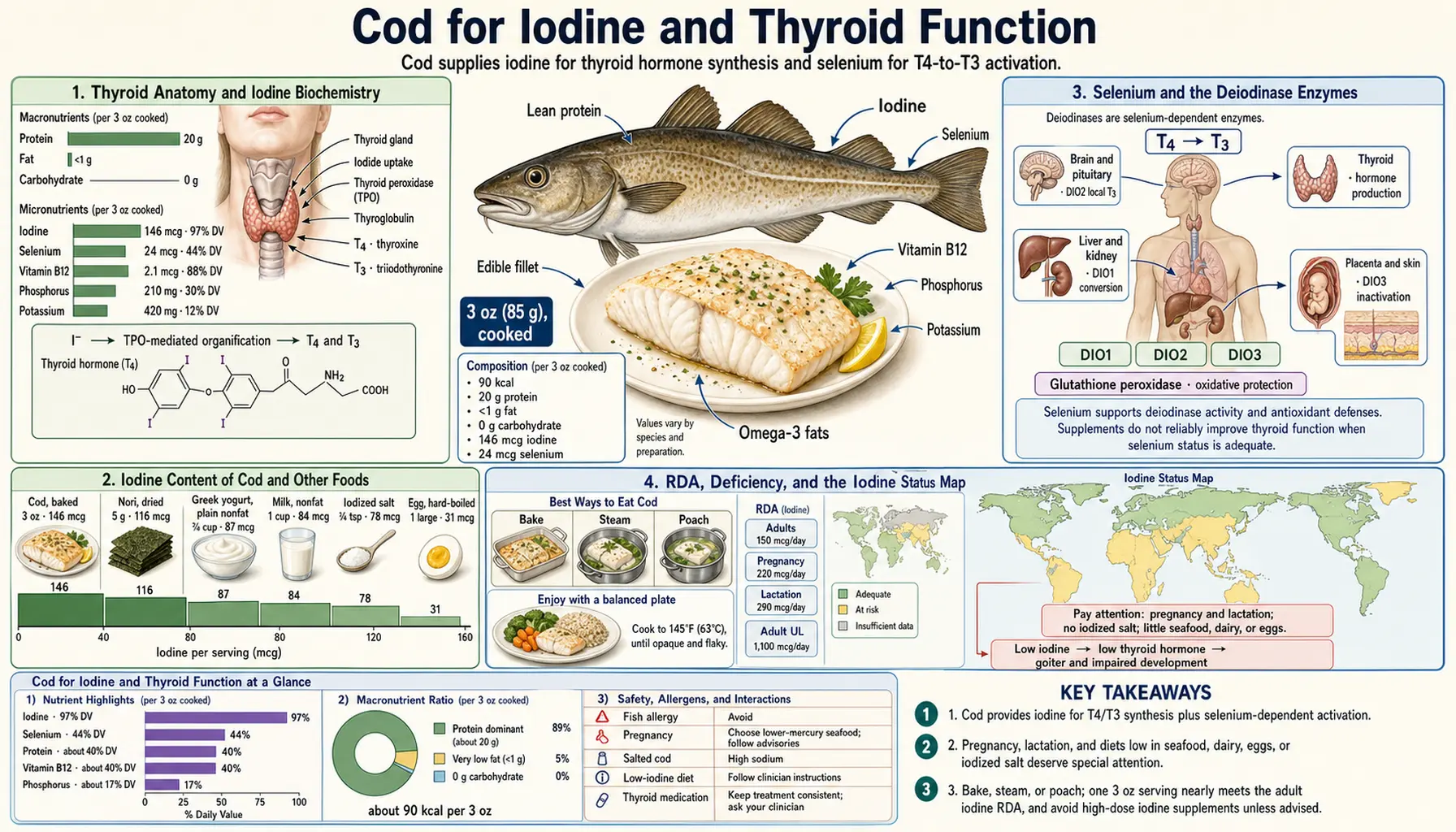 Iodine and Thyroid — scientific infographic poster