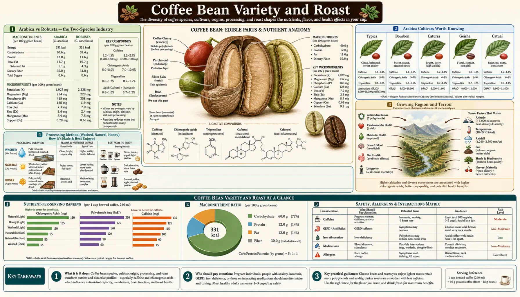 Bean Variety and Roast — scientific infographic poster