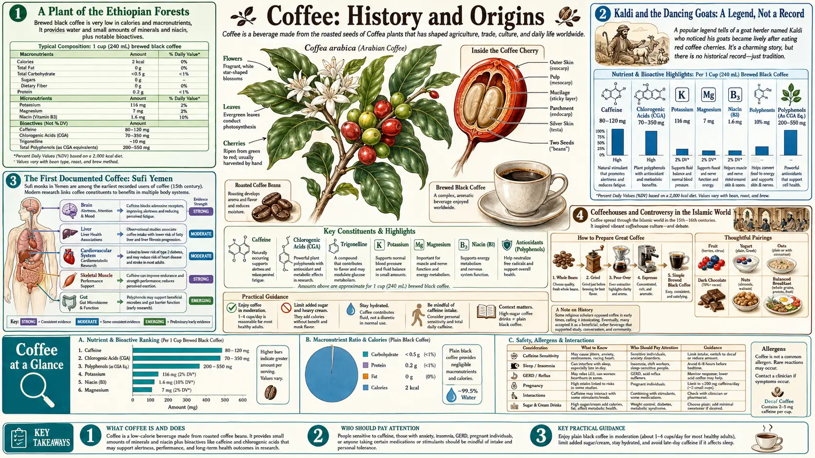 History — scientific infographic poster
