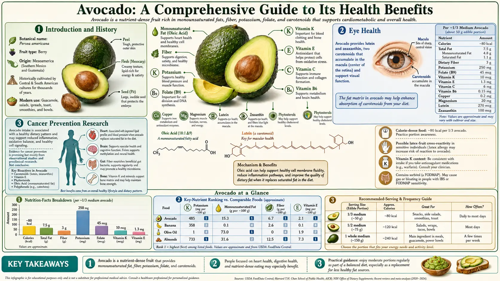 Avocado — scientific infographic poster