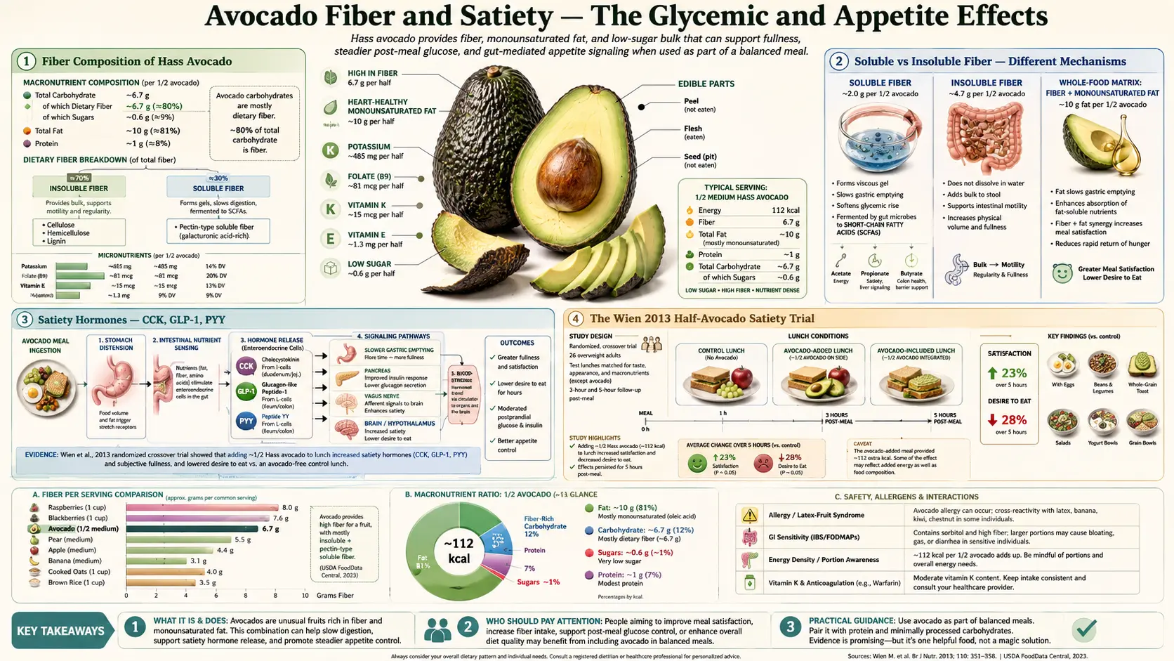 Fiber and Satiety — scientific infographic poster