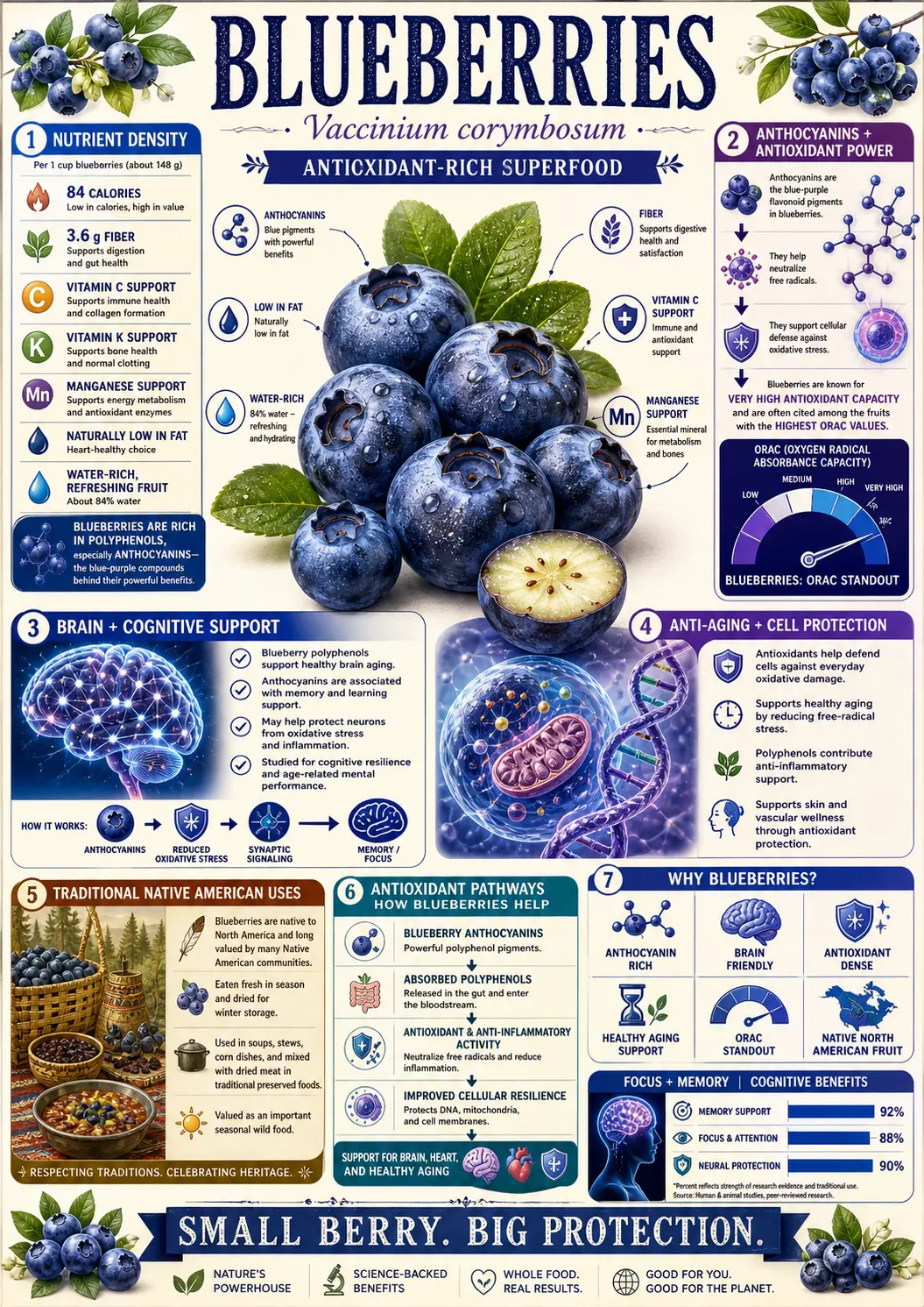 Blueberries