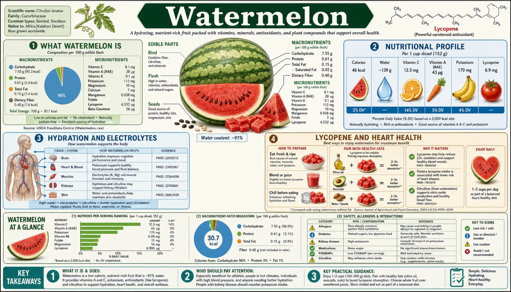 Watermelon — scientific infographic poster