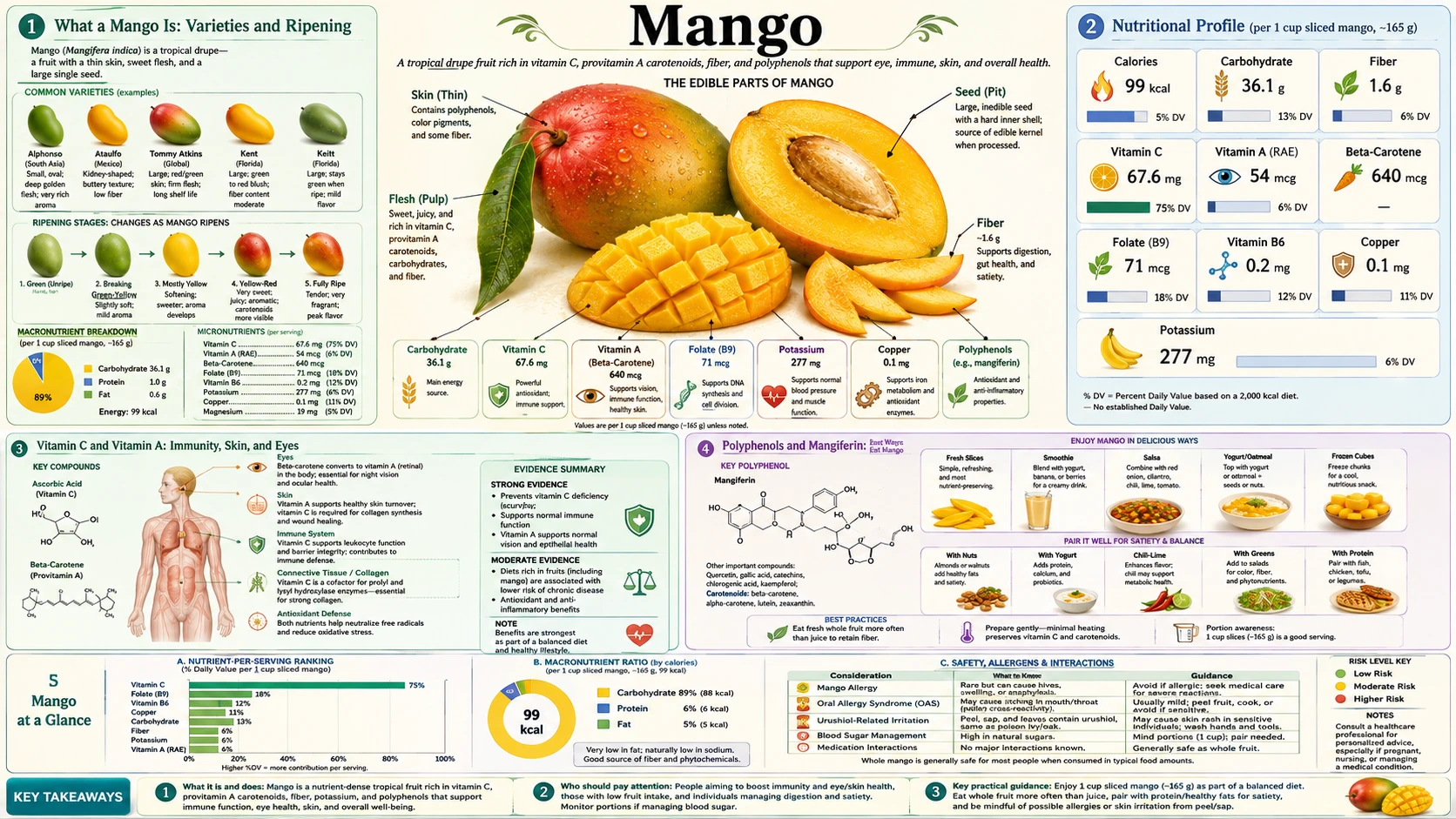 Mango — scientific infographic poster