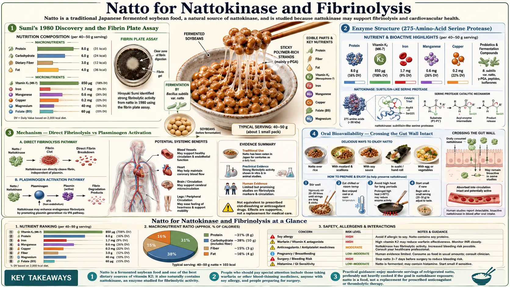 Nattokinase and Fibrinolysis — scientific infographic poster