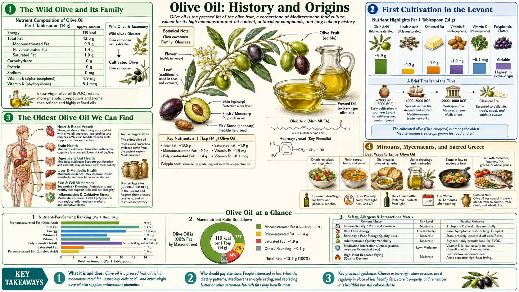 History — scientific infographic poster