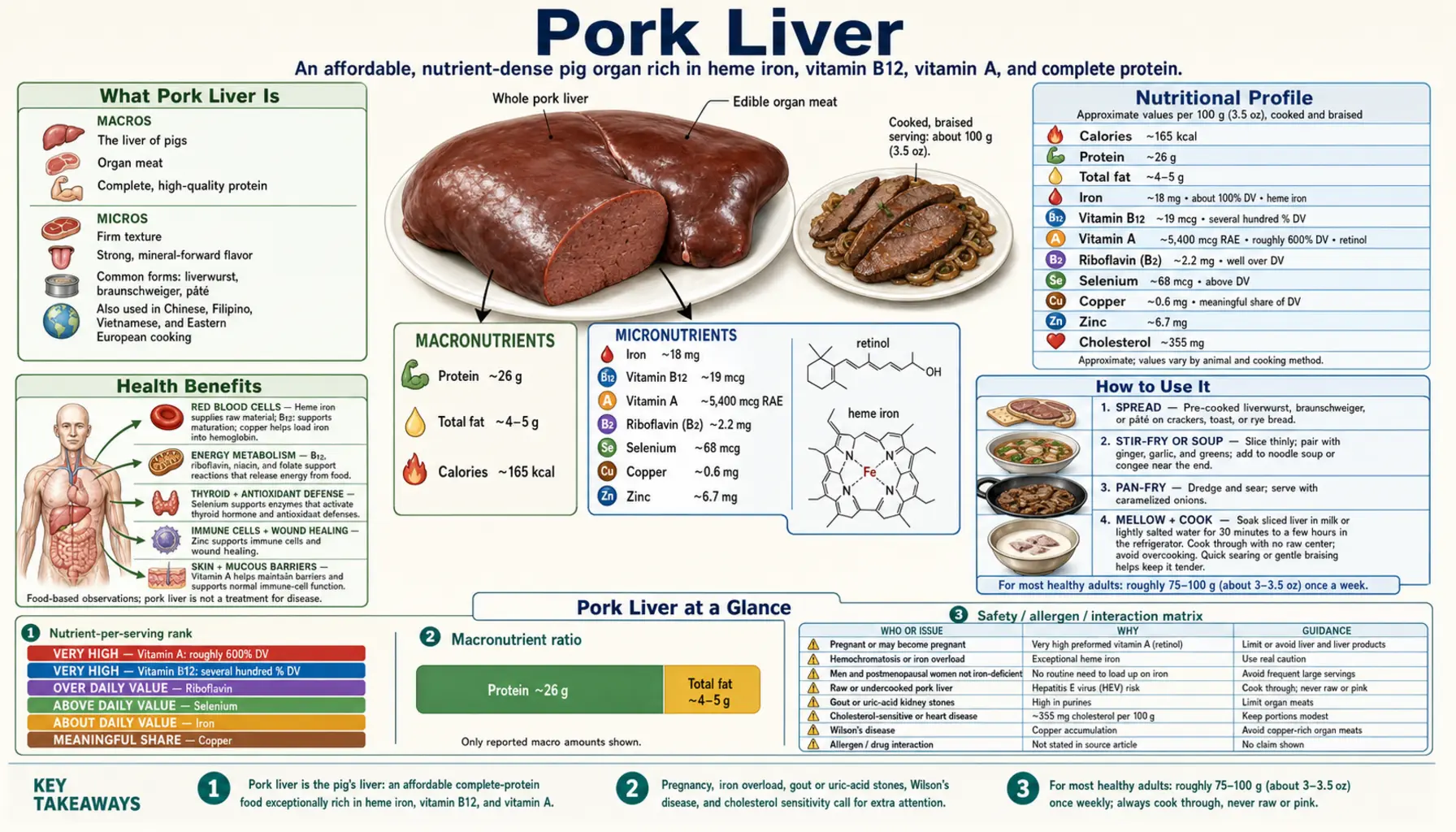 Pork Liver — scientific infographic poster