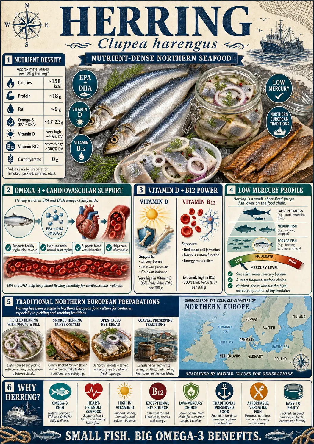 Herring