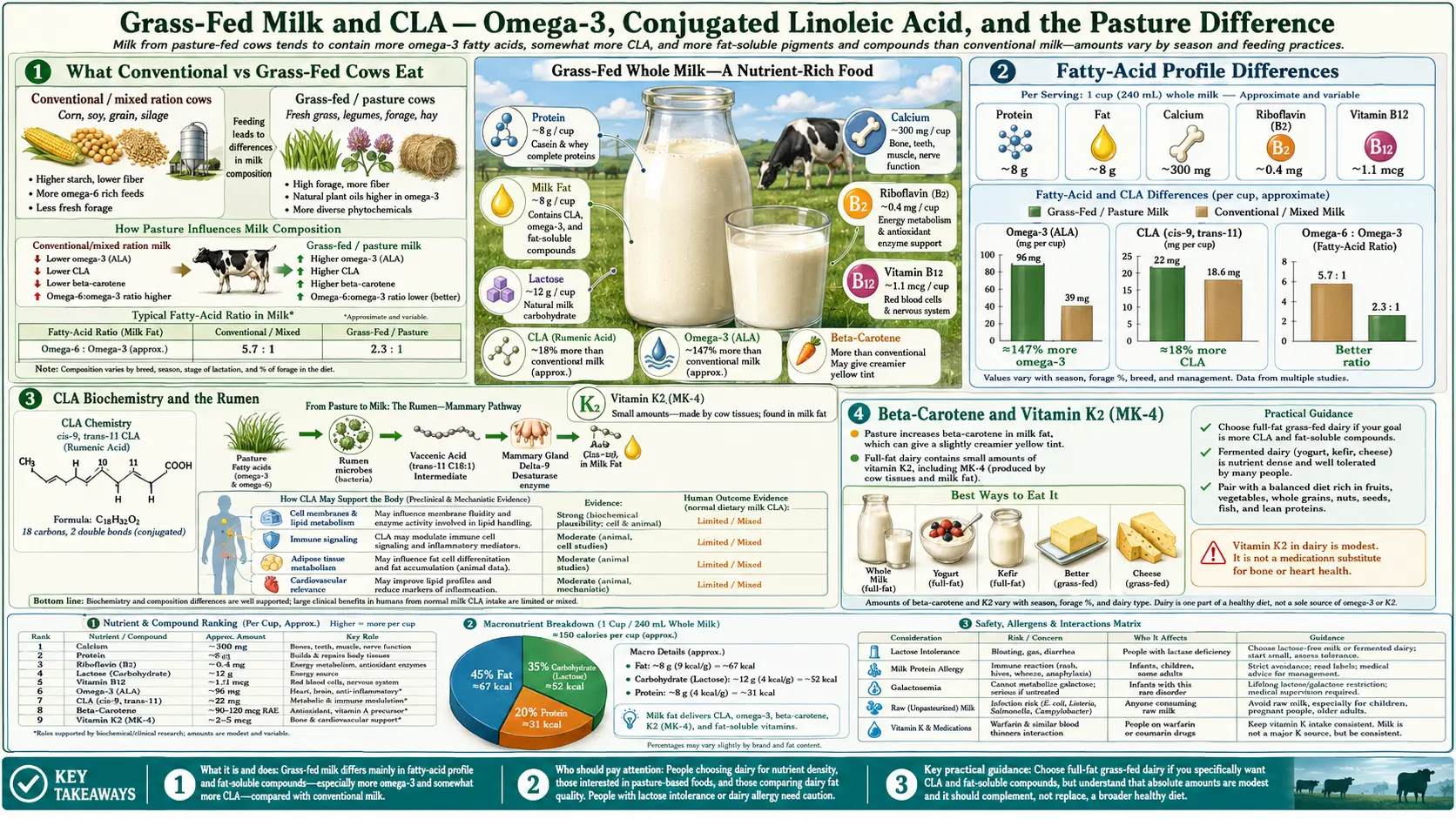 Grass Fed and CLA — scientific infographic poster