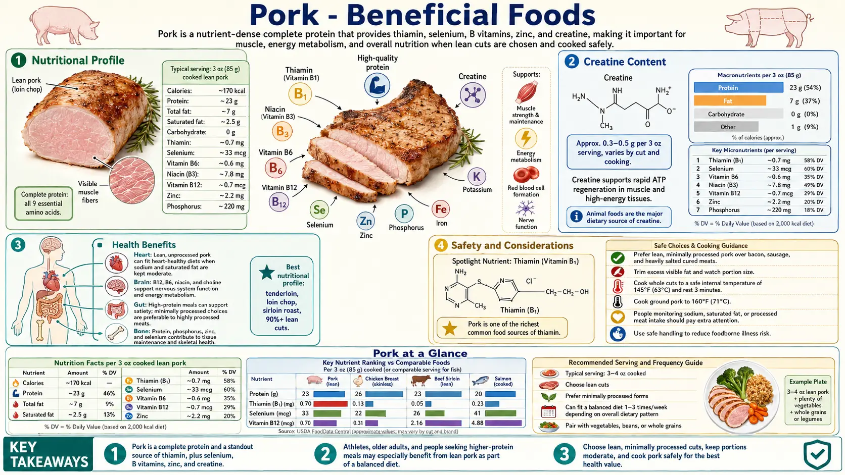 Pork — scientific infographic poster