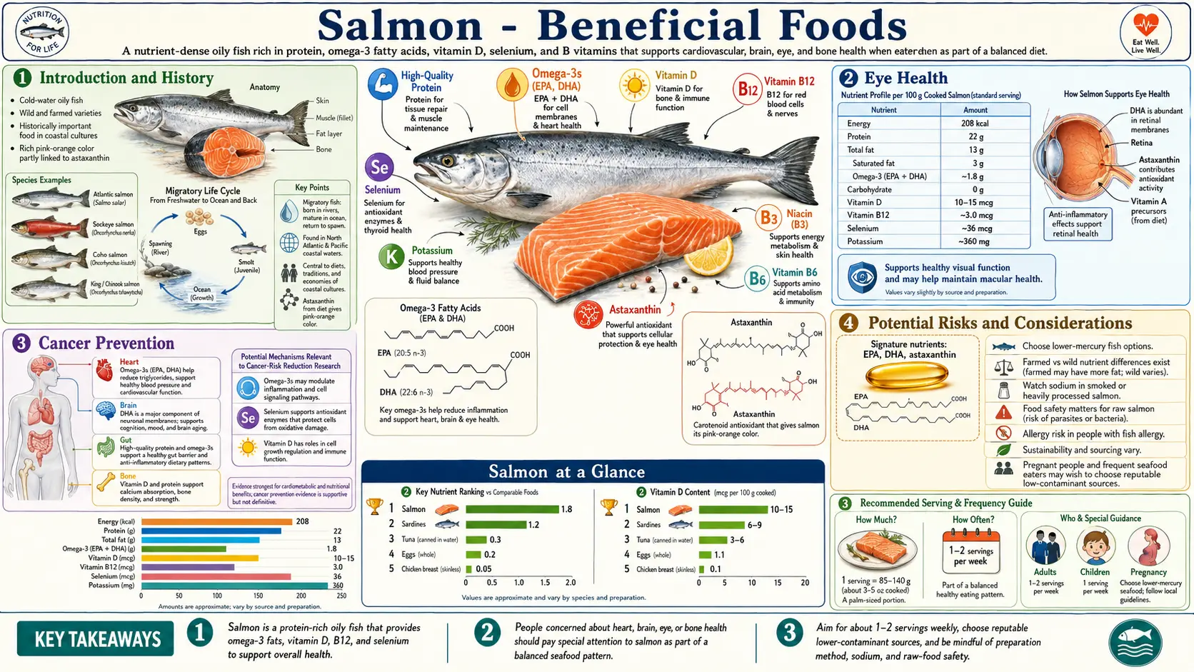Salmon — scientific infographic poster