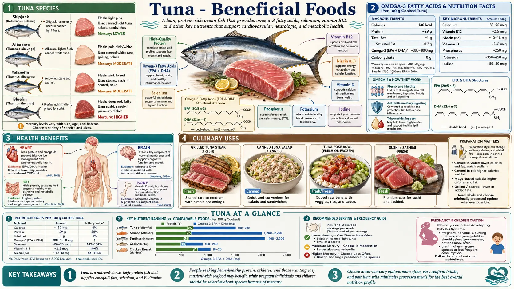 Tuna — scientific infographic poster