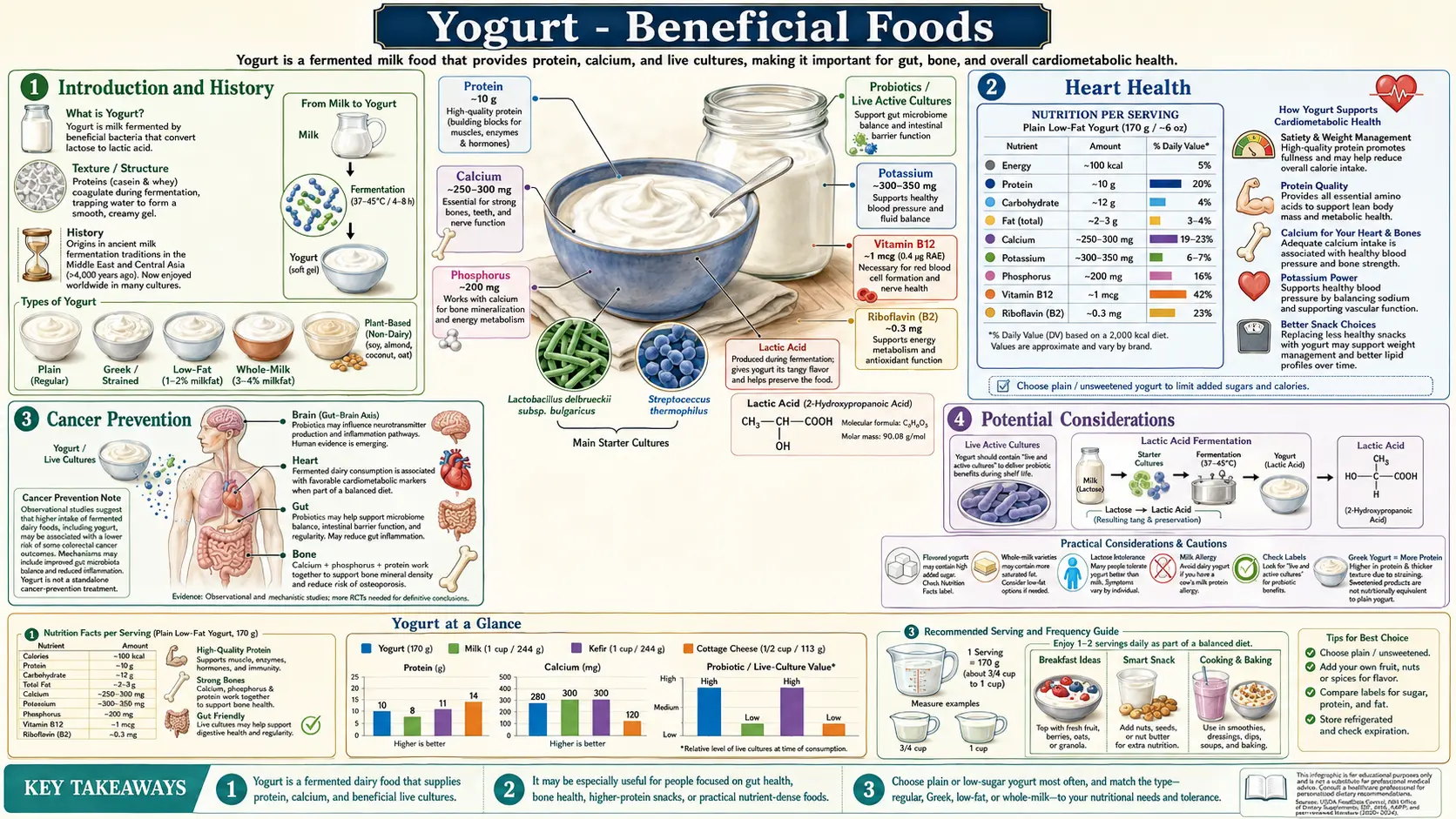 Yogurt — scientific infographic poster