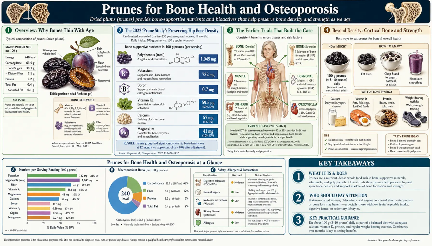 Bone Health and Osteoporosis — scientific infographic poster