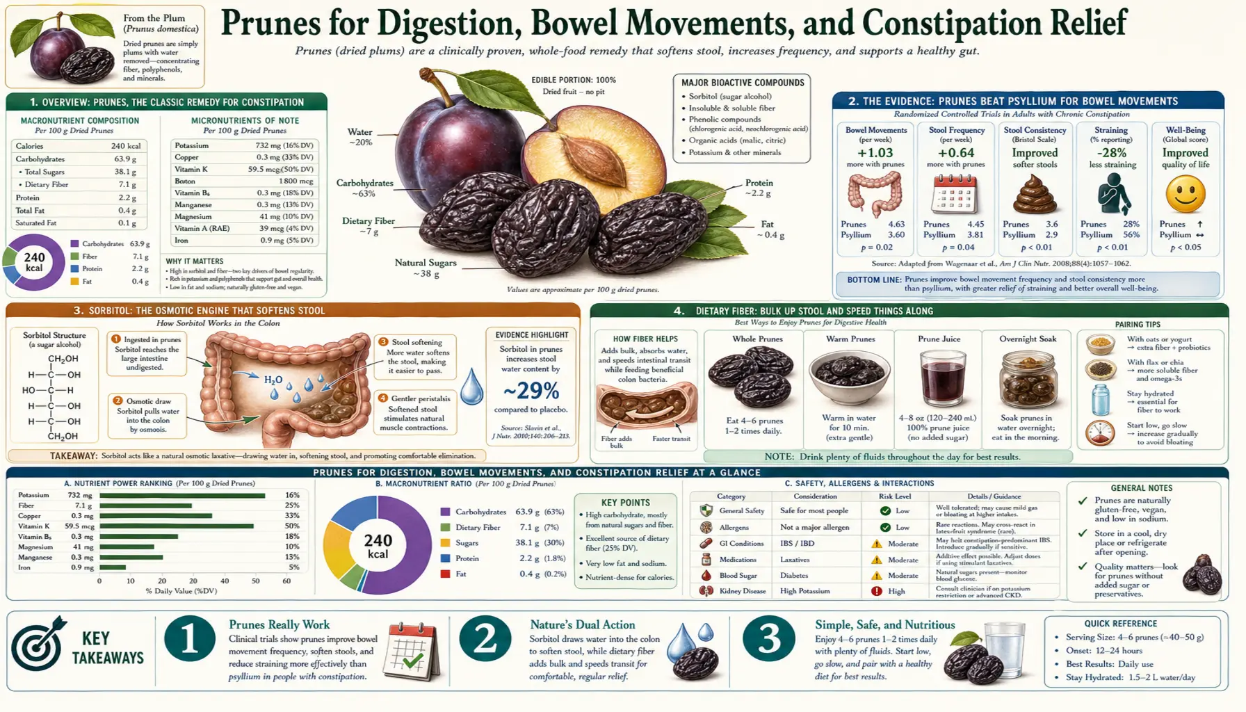 Digestion and Constipation Relief — scientific infographic poster