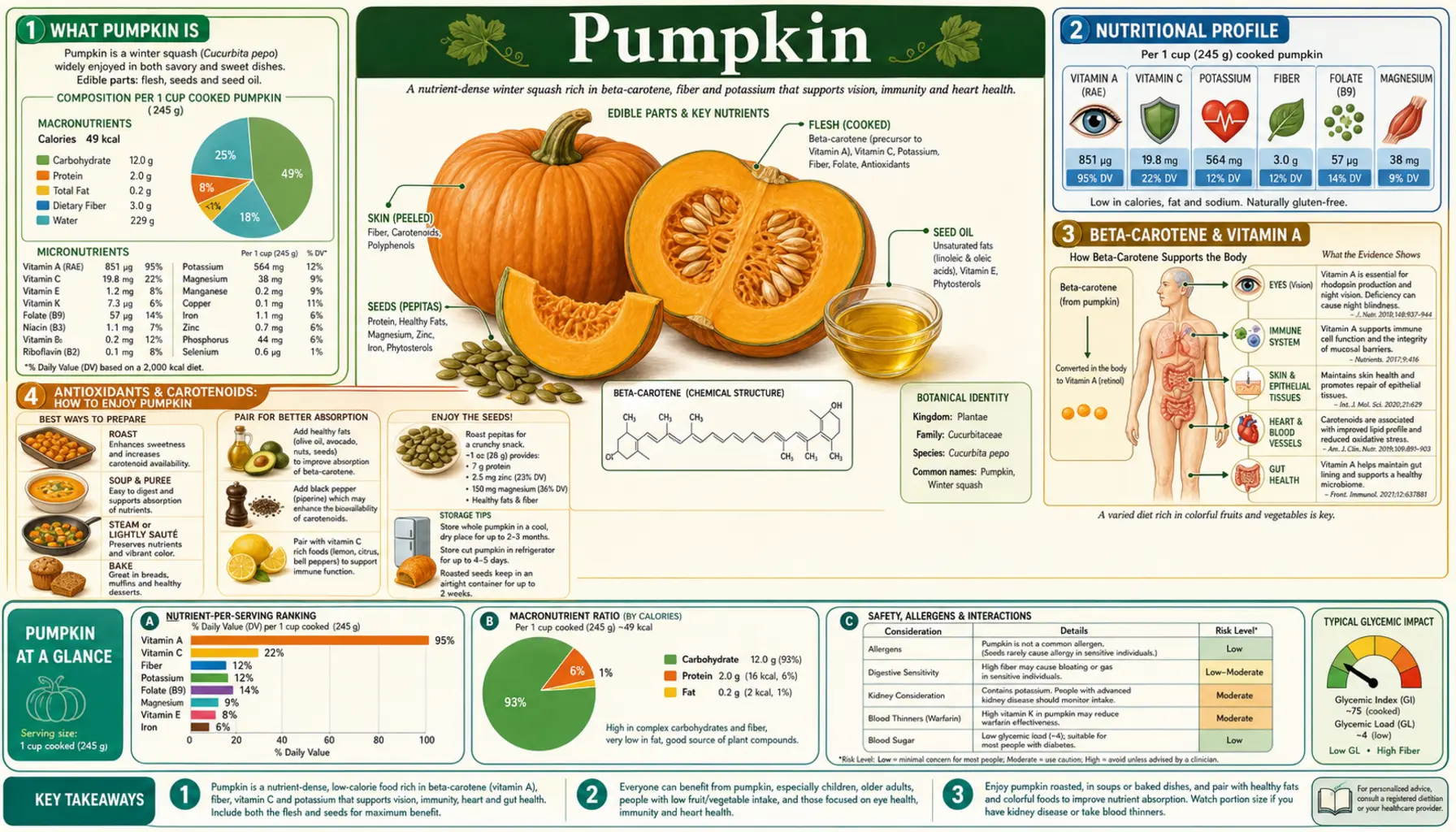 Pumpkin — scientific infographic poster