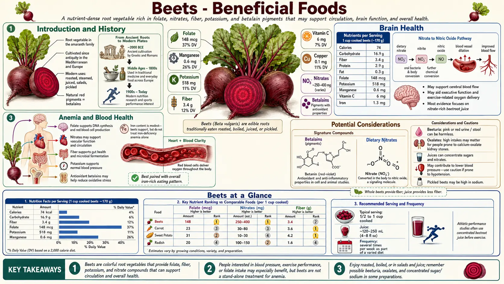 Beets — scientific infographic poster
