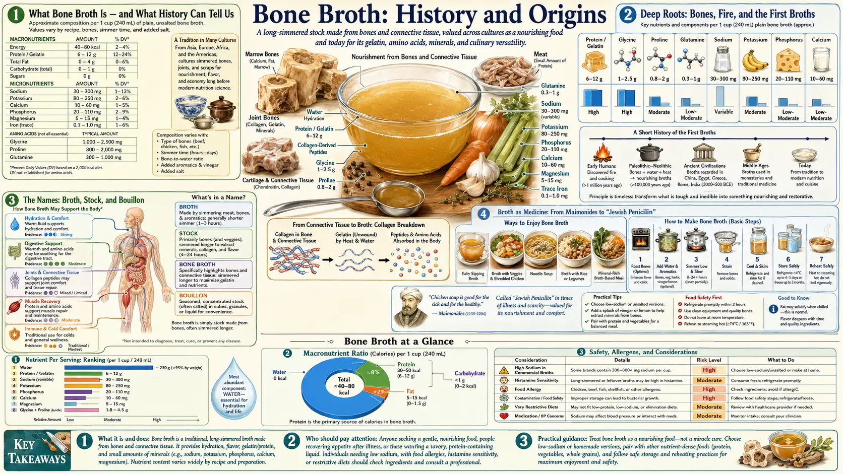 History — scientific infographic poster