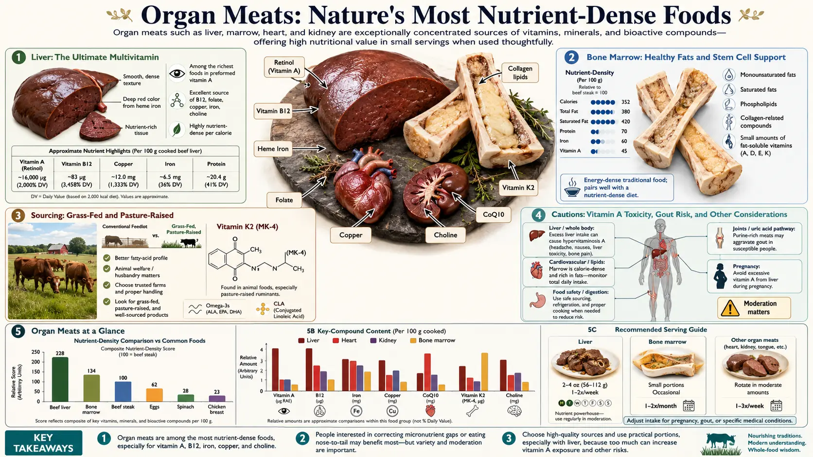 Organ Meats — scientific infographic poster