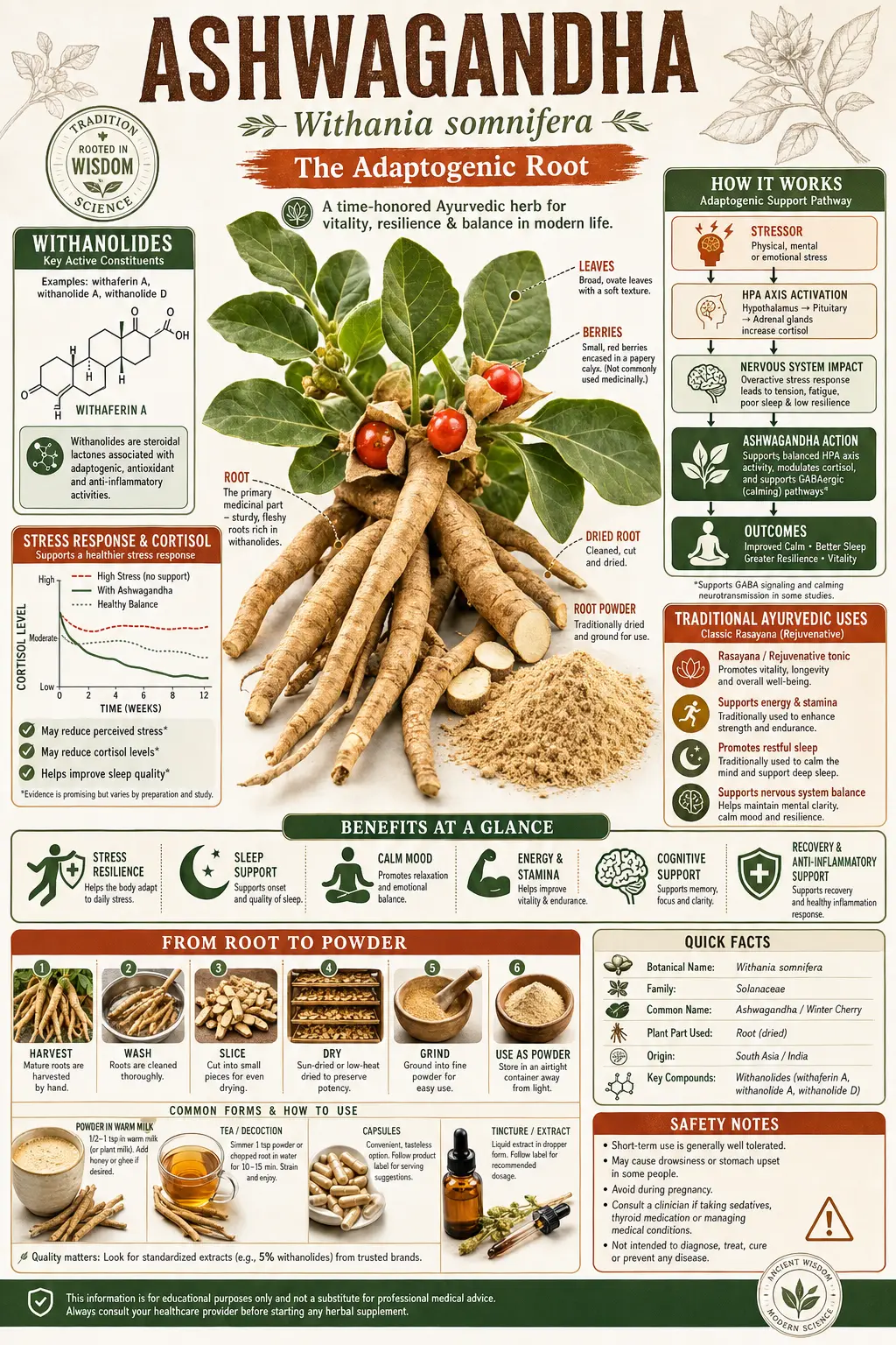 Ashwagandha (Withania somnifera)