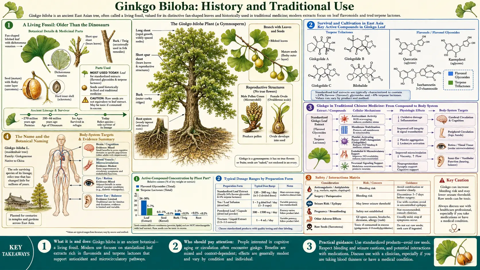 History — scientific infographic poster
