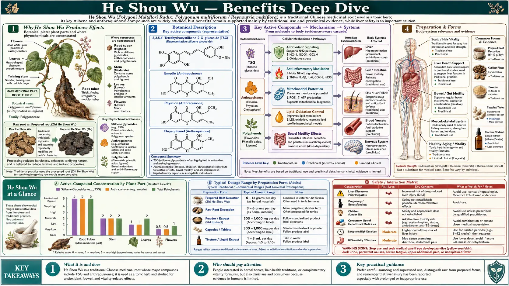 Benefits — scientific infographic poster