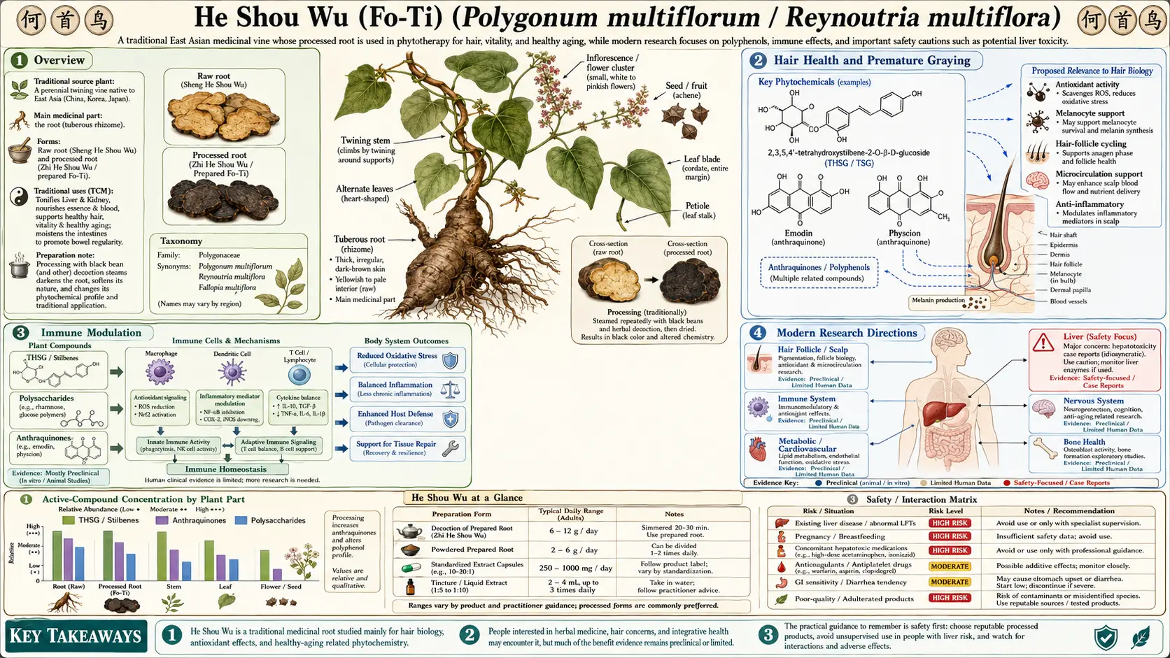 He Shou Wu — scientific infographic poster
