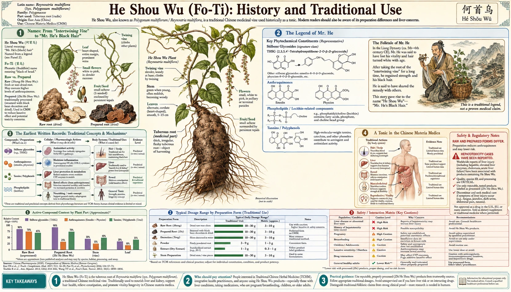 History — scientific infographic poster