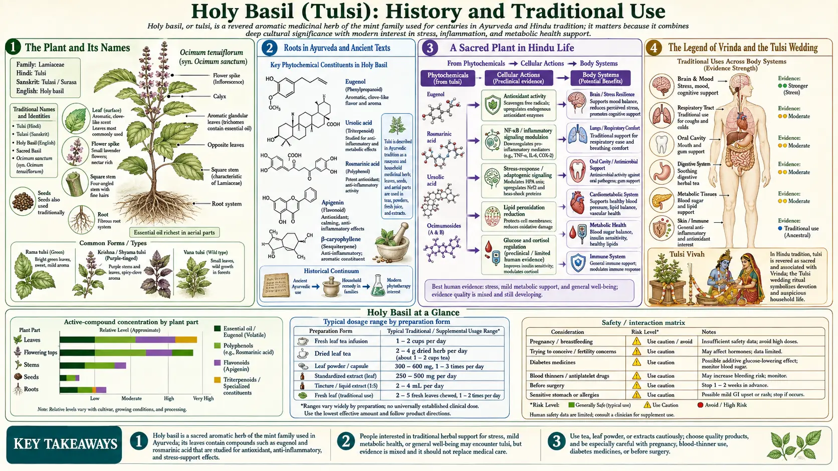 History — scientific infographic poster