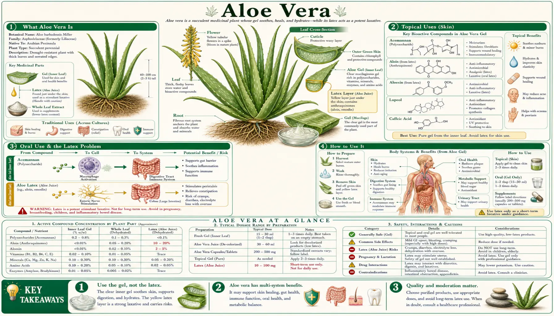 Aloe Vera — scientific infographic poster