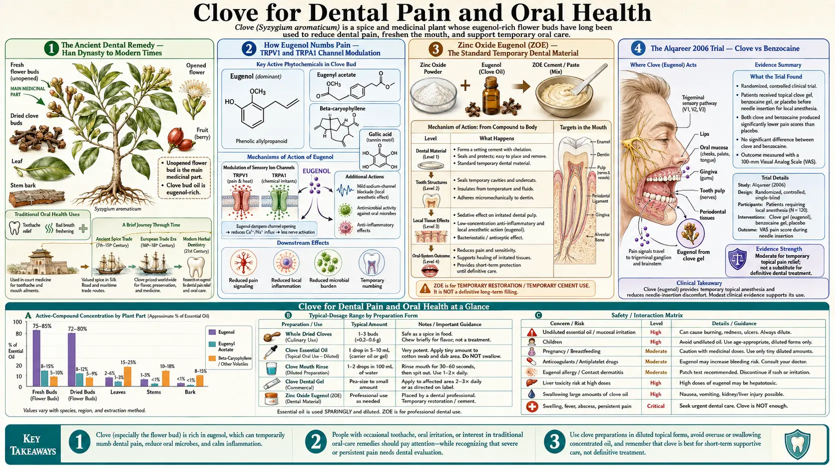 Liver Protection — scientific infographic poster