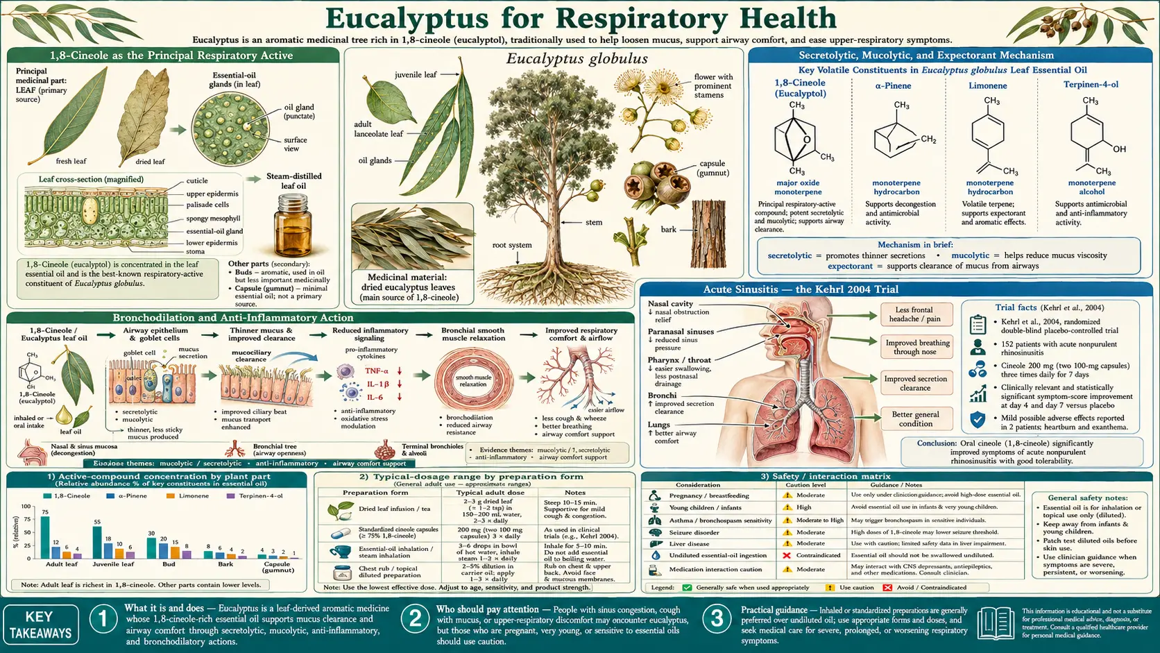 Respiratory Health — scientific infographic poster