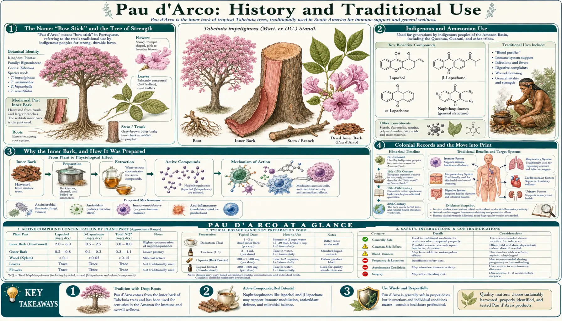 History — scientific infographic poster