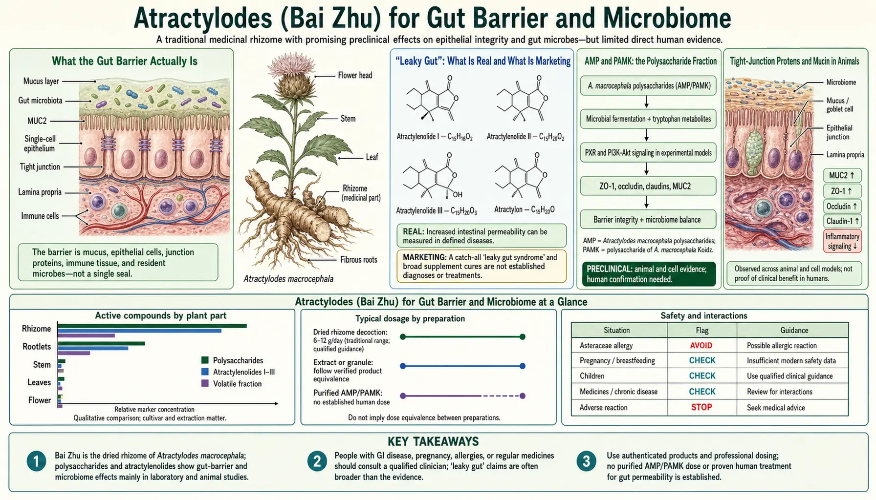 Gut Barrier and Microbiome — scientific infographic poster