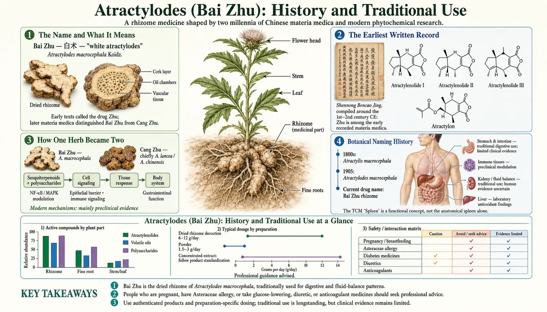 History — scientific infographic poster