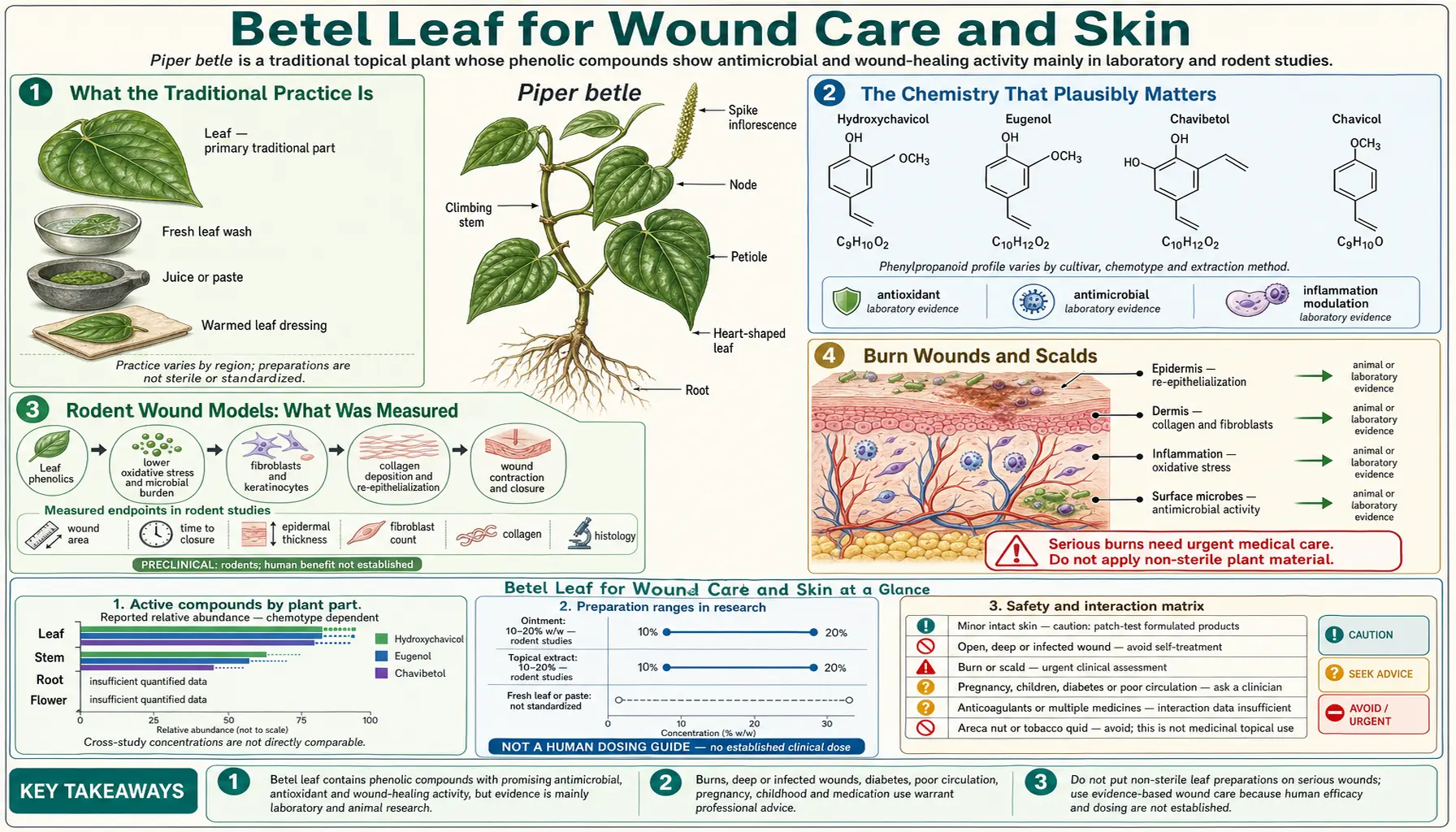 Wound Care and Skin — scientific infographic poster