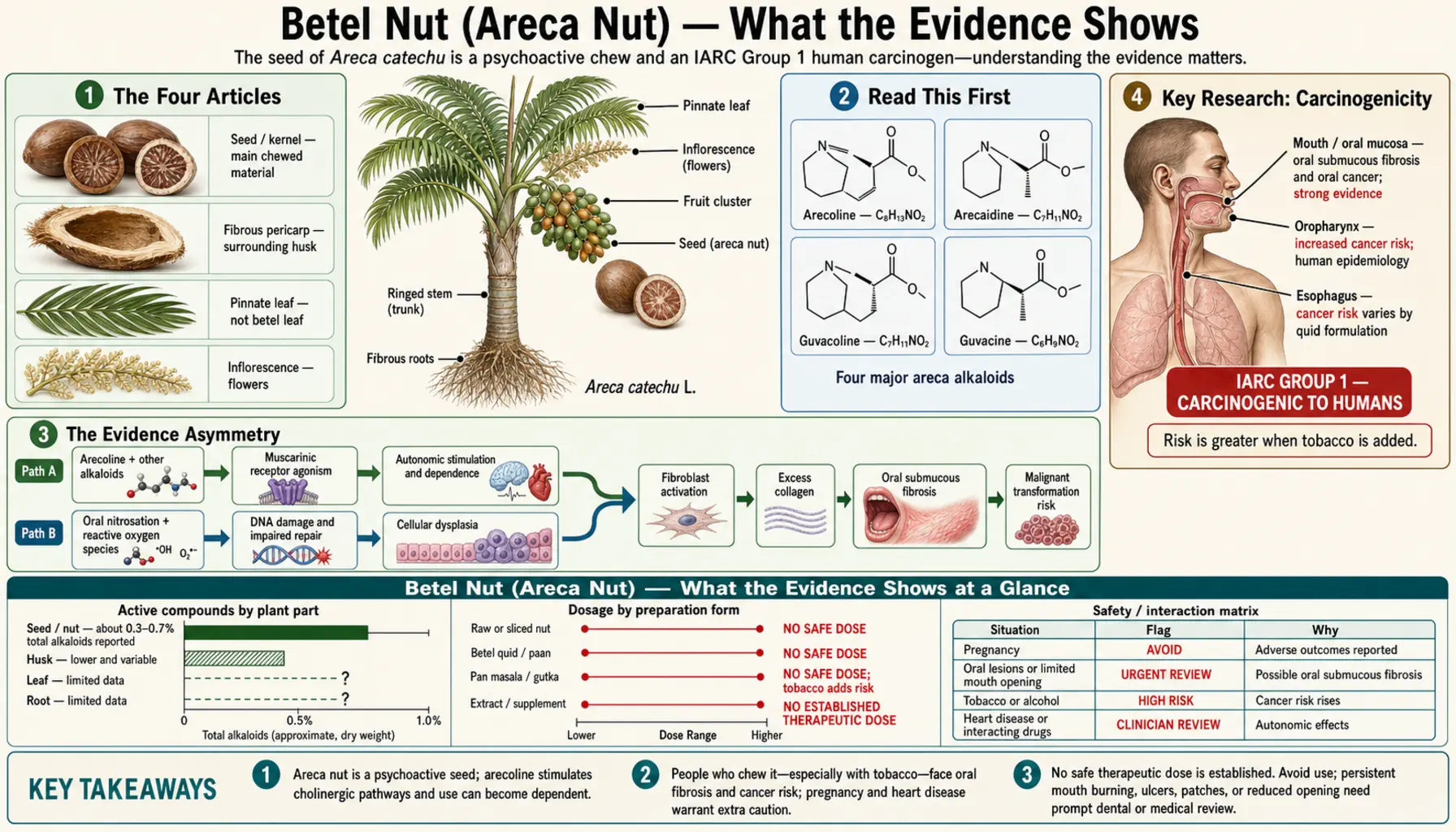 Benefits — scientific infographic poster