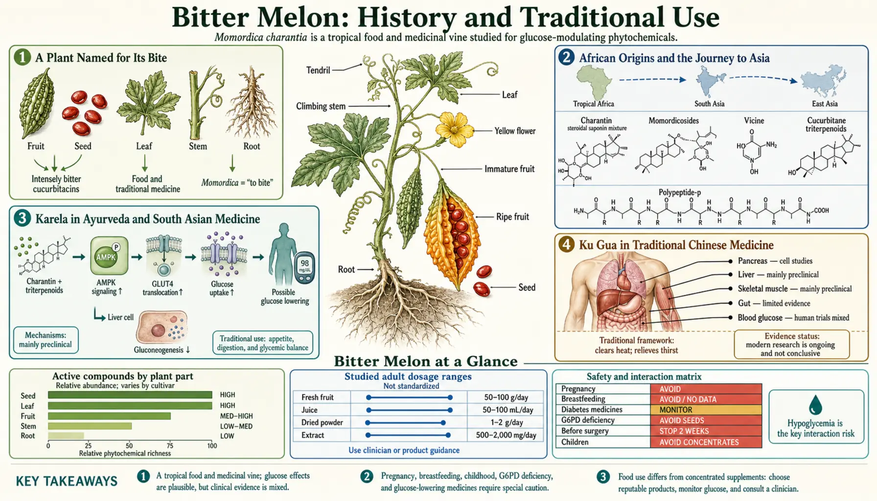 History — scientific infographic poster