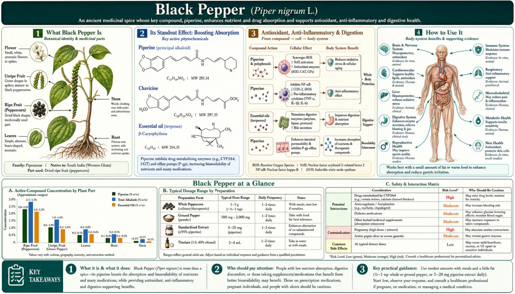 Black Pepper — scientific infographic poster