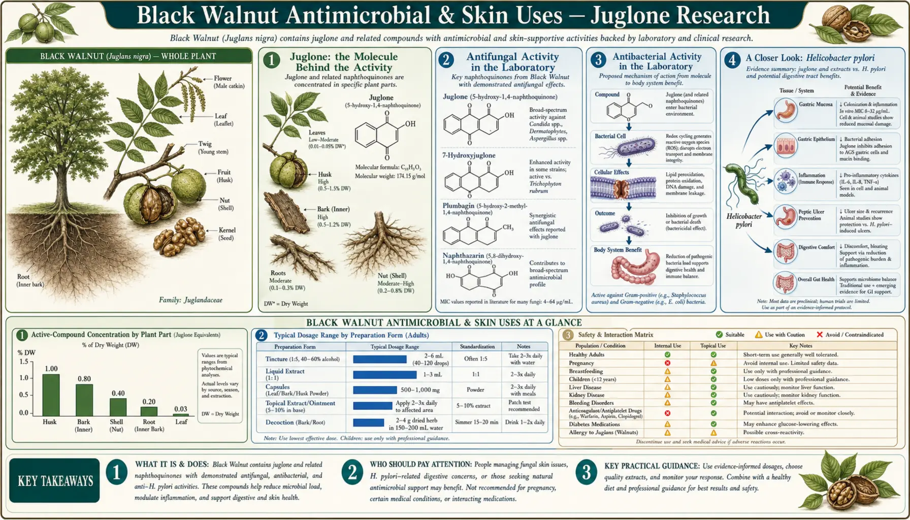 Antimicrobial and Skin — scientific infographic poster