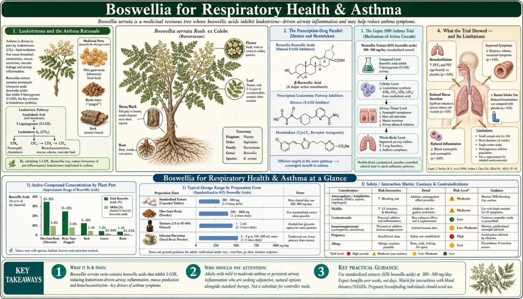 Respiratory and Asthma — scientific infographic poster