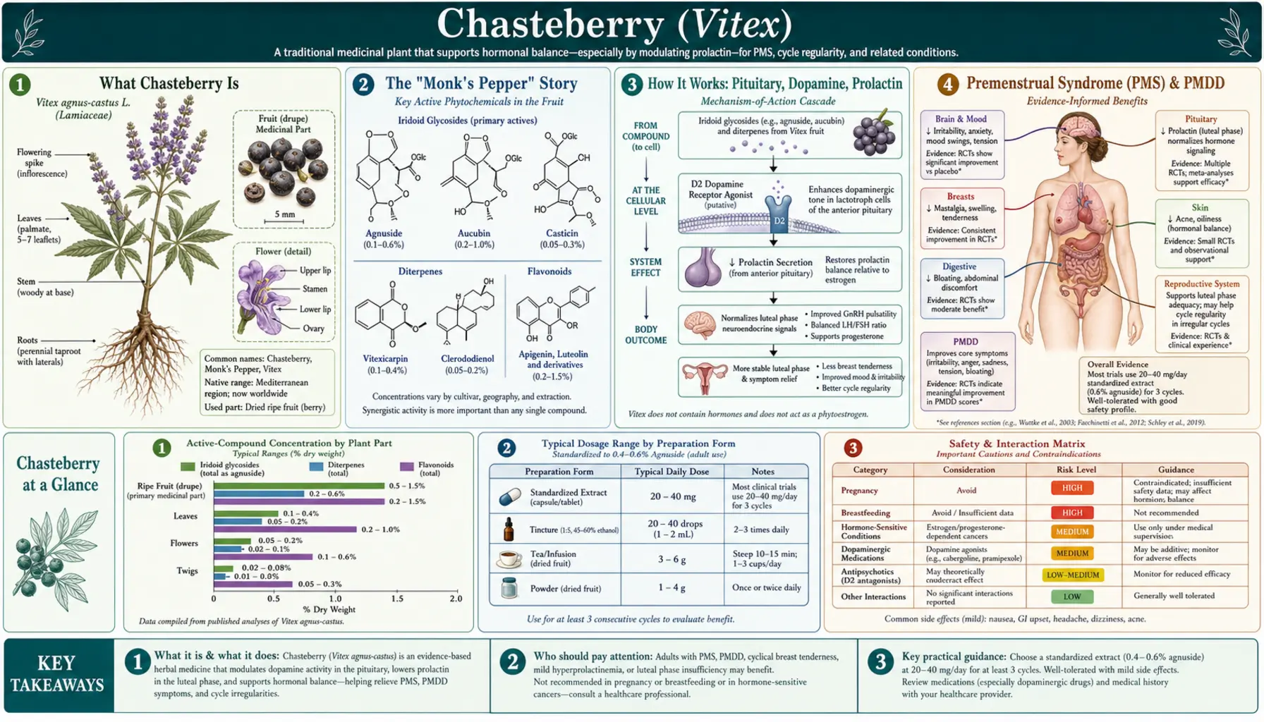 Chasteberry — scientific infographic poster