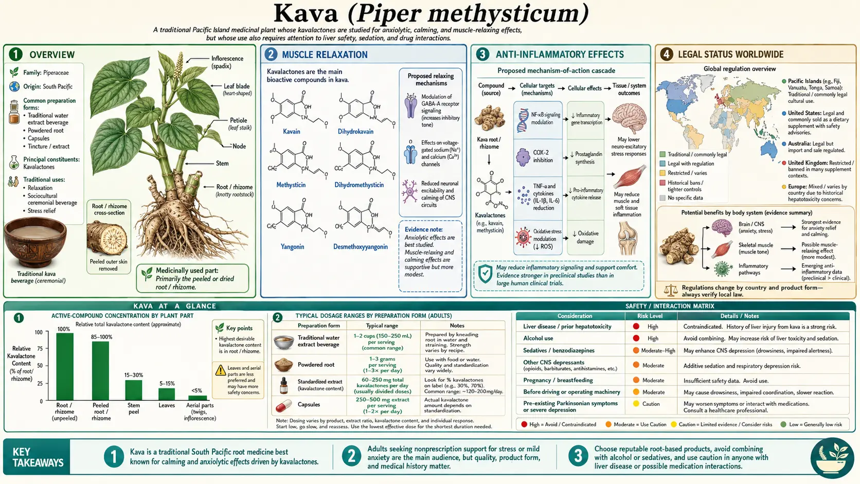 Kava — scientific infographic poster