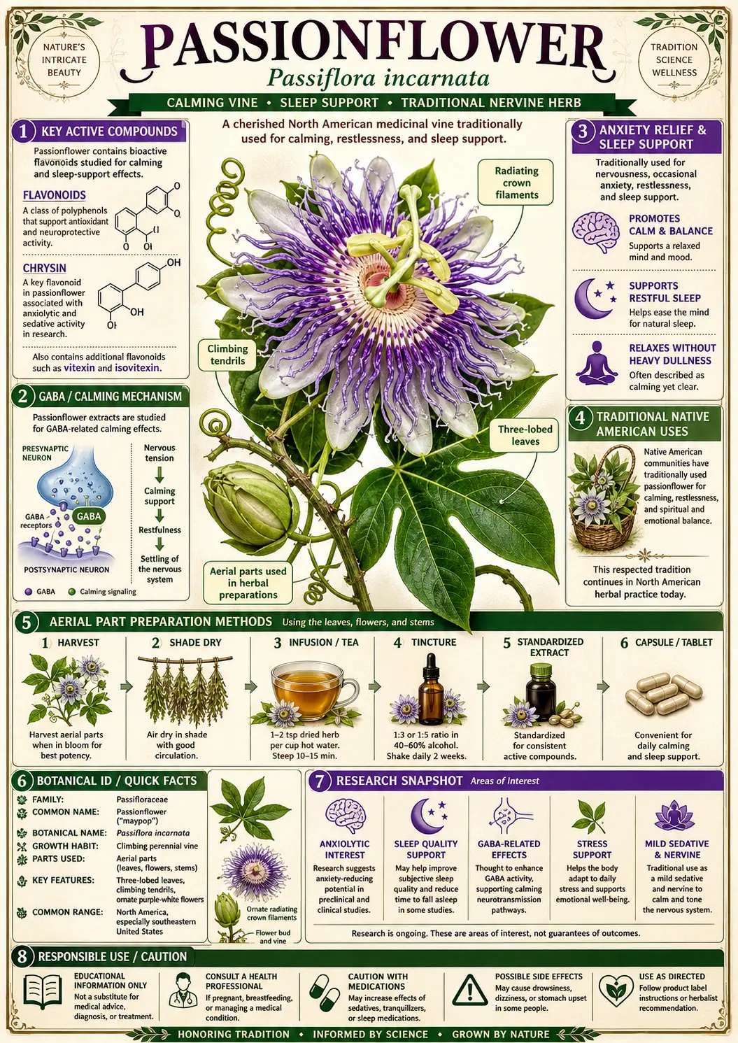 Passionflower (Passiflora incarnata)
