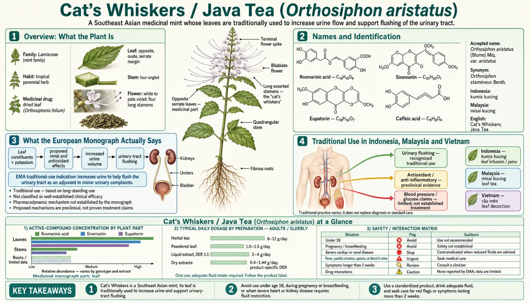Cats Whiskers — scientific infographic poster