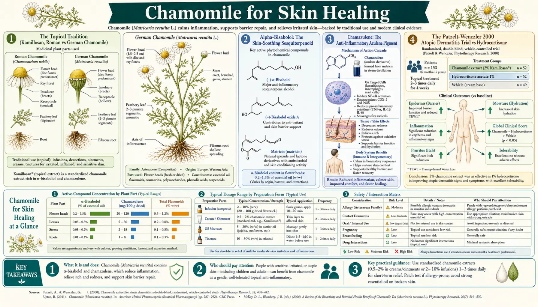Skin Healing — scientific infographic poster