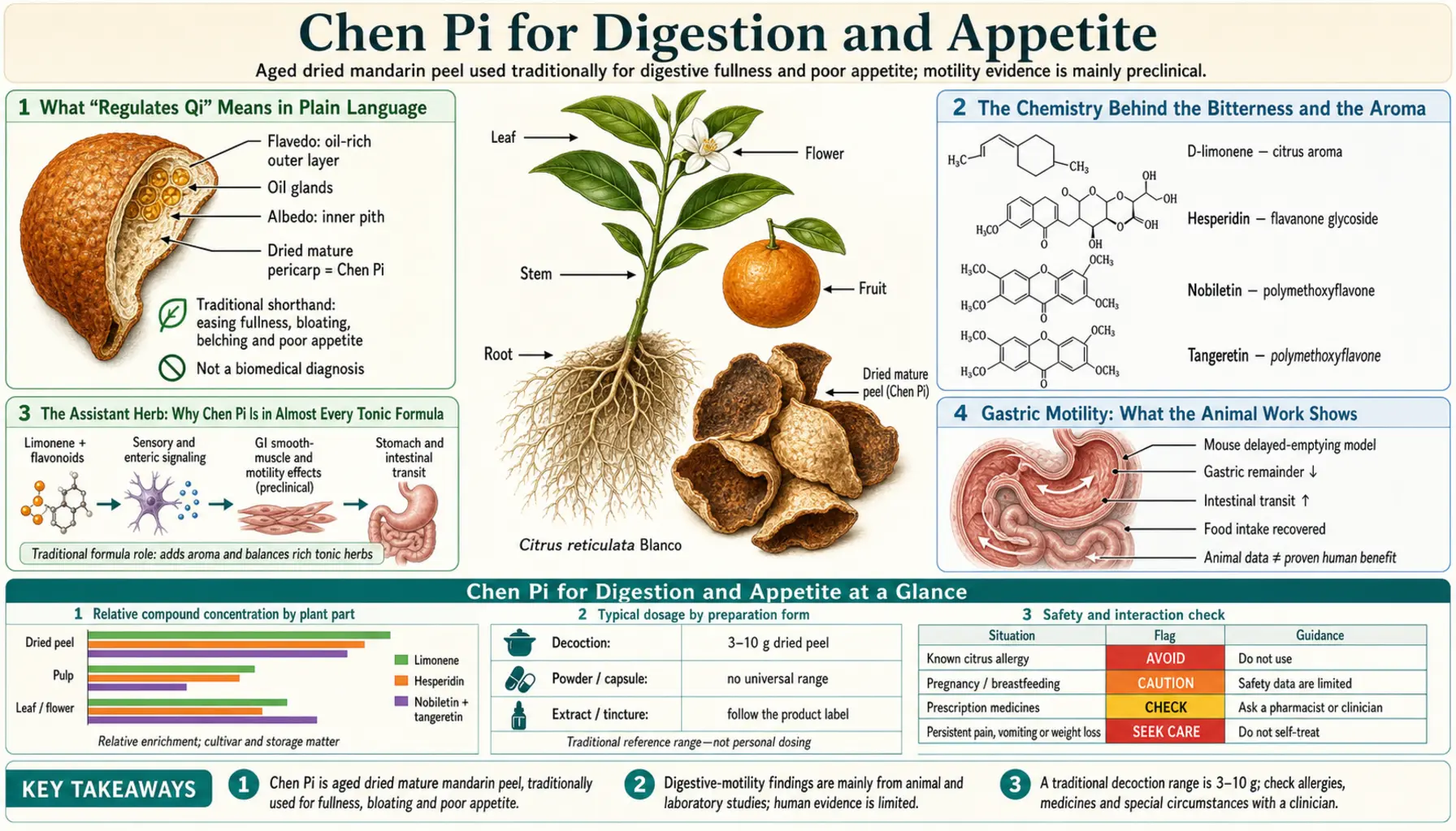 Digestion and Appetite — scientific infographic poster